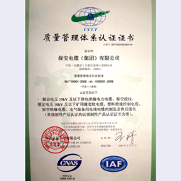 亚盈体育(中国)有限责任公司集团质量体系认证