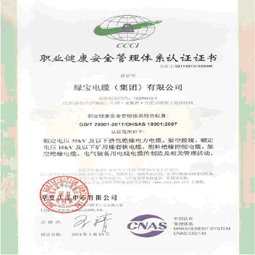 亚盈体育(中国)有限责任公司集团职业健康体系认证